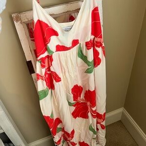 Olivaceous Red floral maxi dress